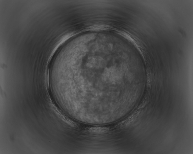 X0000090491227200708031139