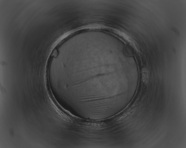 X0000090491229200708031139