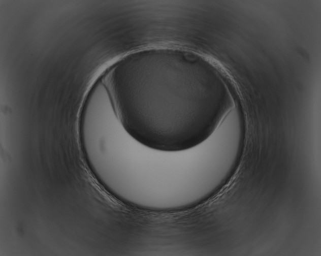 X0000090491230200708031139