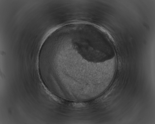 X0000090491231200708031139