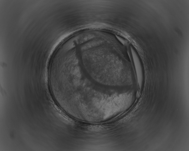 X0000090491232200708031139