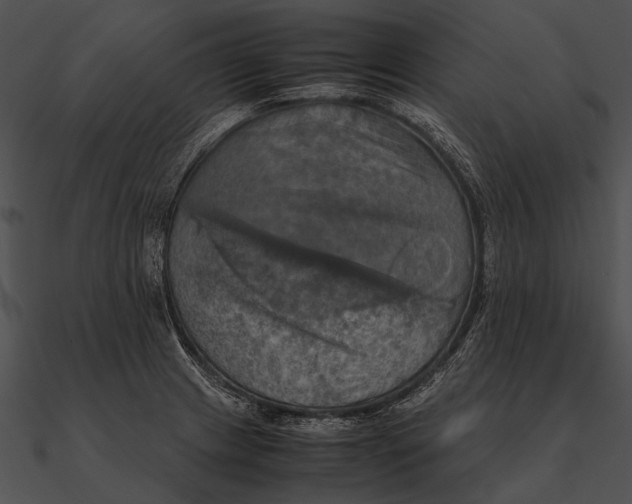 X0000090491233200708031139