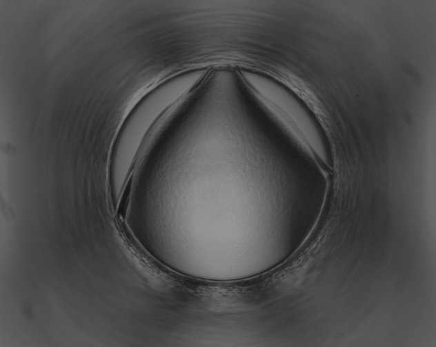 X0000090491234200708031139