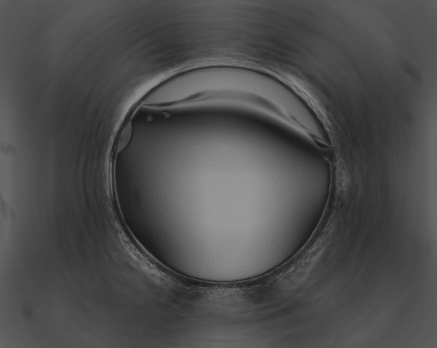 X0000090491238200708031139