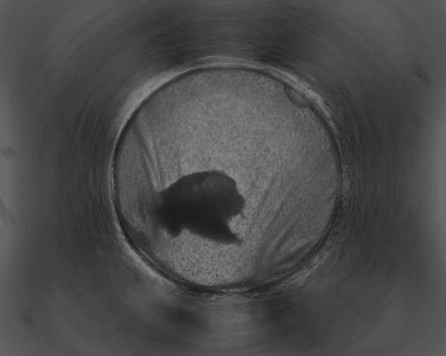 X0000090491239200708031139