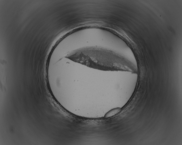 X0000090491240200708031139