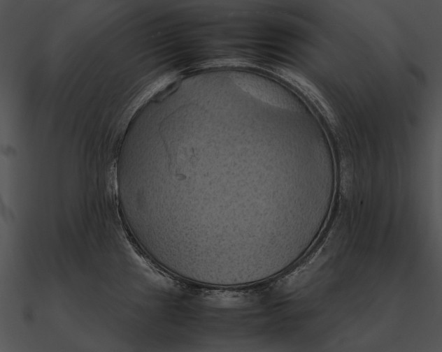 X0000090491241200708031139