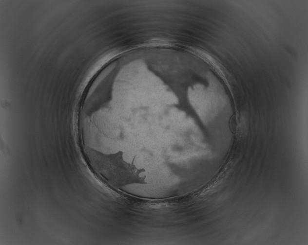 X0000090491243200708031139