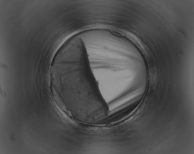 X0000090491244200708031139