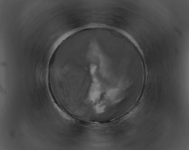 X0000090491245200708031139