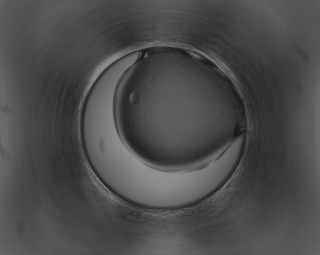 X0000090491246200708031139