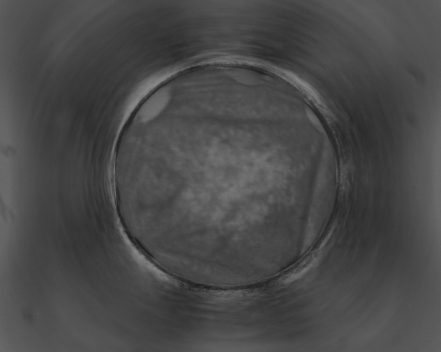 X0000090491247200708031139