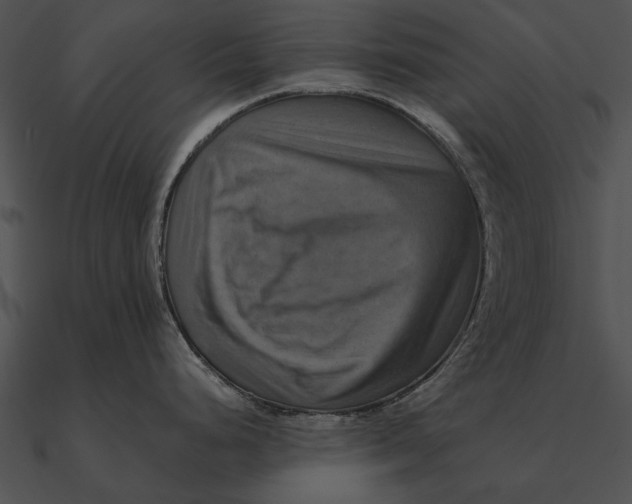 X0000090491248200708031139