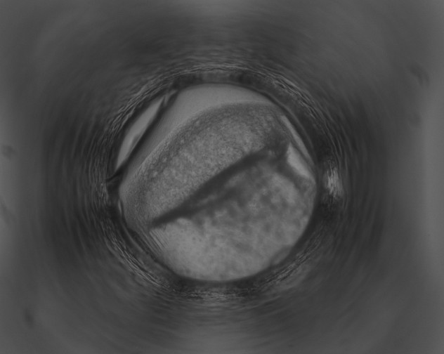 X0000090491252200708031139