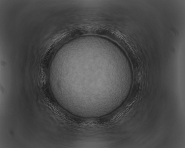 X0000090491253200708031139