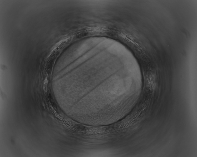 X0000090491254200708031139