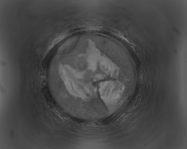 X0000090491255200708031139