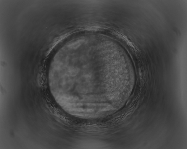 X0000090491256200708031139