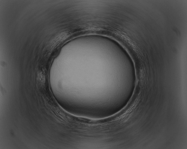 X0000090491257200708031139