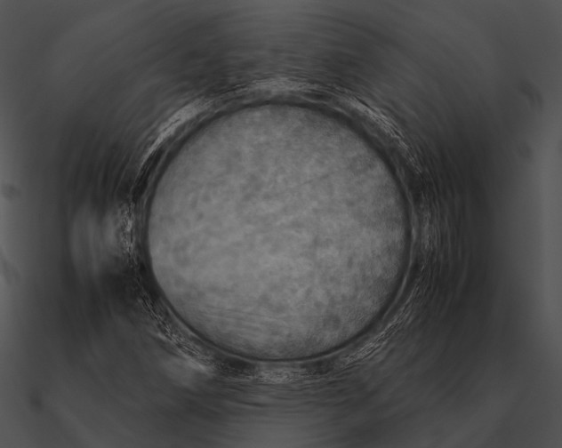 X0000090491258200708031139