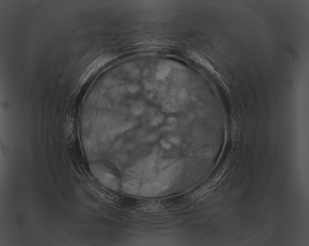 X0000090491259200708031138