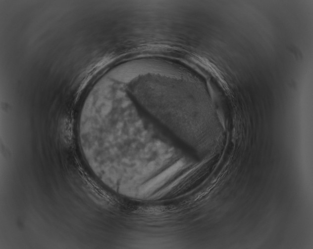 X0000090491260200708031138