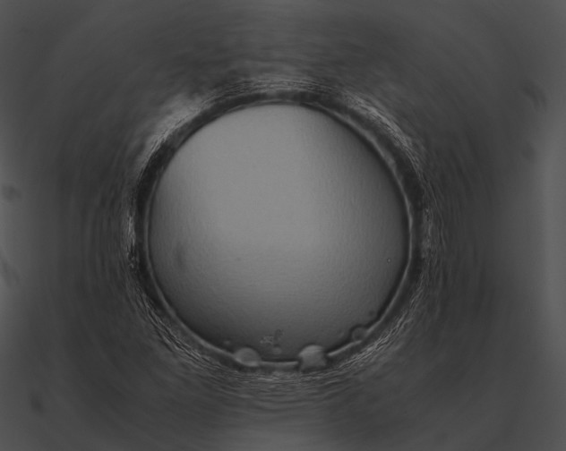 X0000090491261200708031138