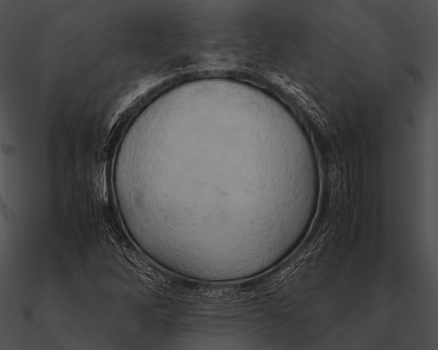 X0000090491262200708031138