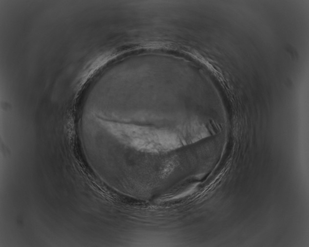 X0000090491263200708031138