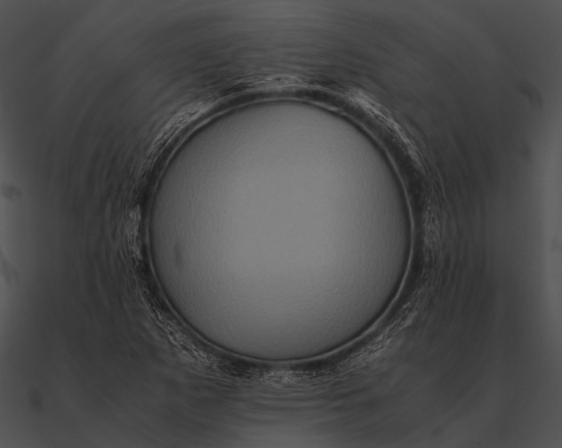 X0000090491265200708031138