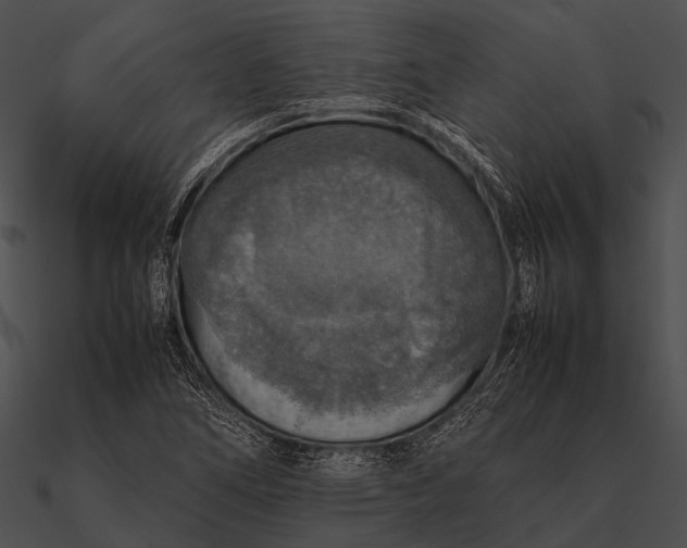 X0000090491266200708031138