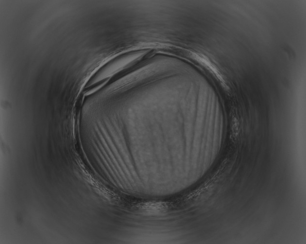 X0000090491268200708031138