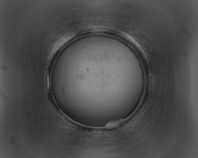 X0000090491269200708031138