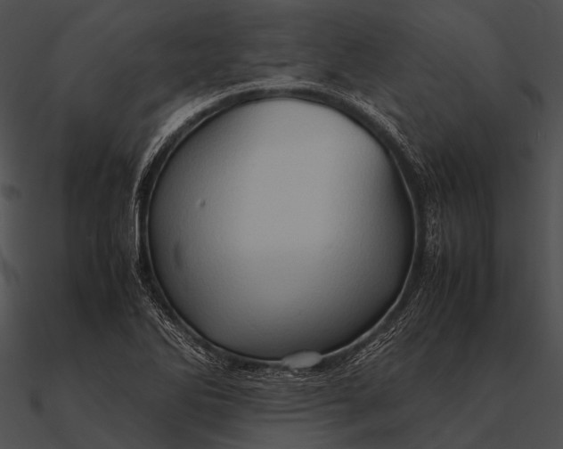 X0000090491270200708031138