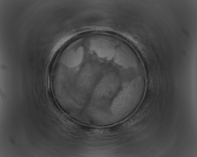 X0000090491271200708031138