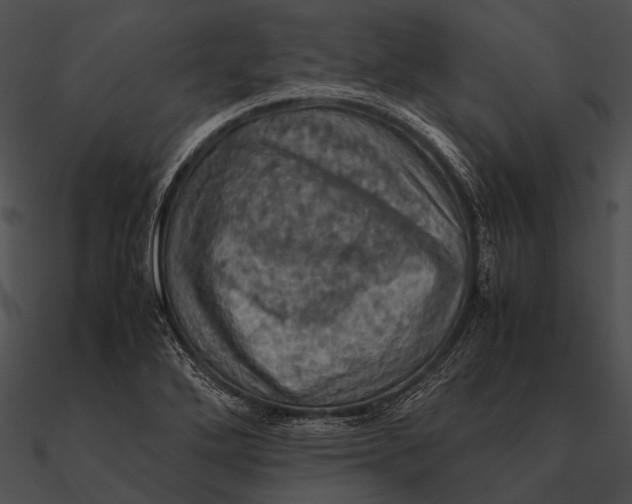 X0000090491272200708031138