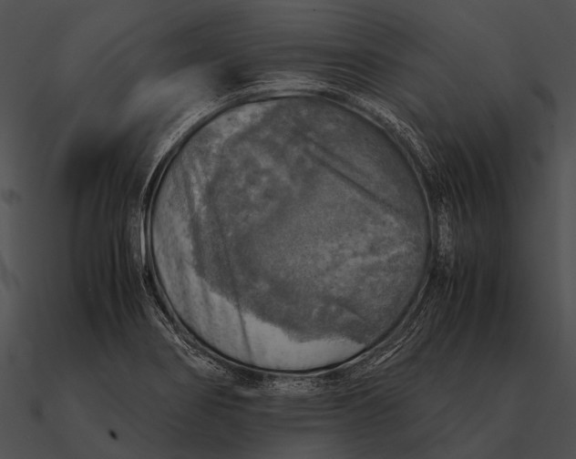 X0000090491274200708031138