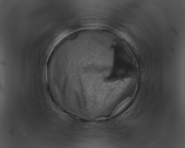 X0000090491275200708031138