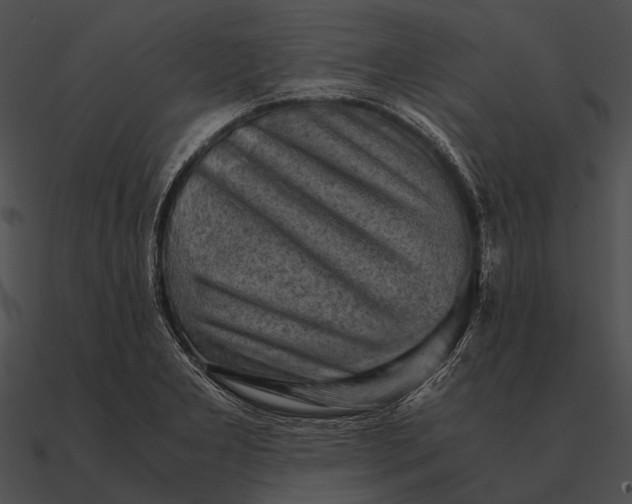 X0000090491277200708031138