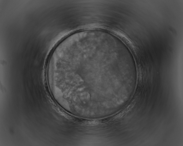 X0000090491278200708031138