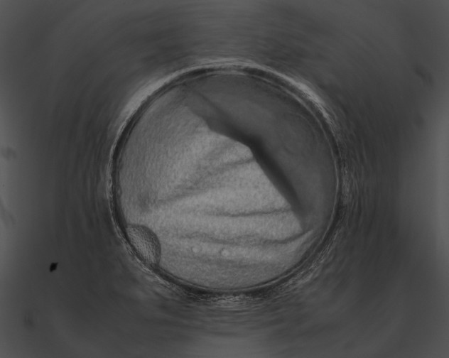 X0000090491279200708031138