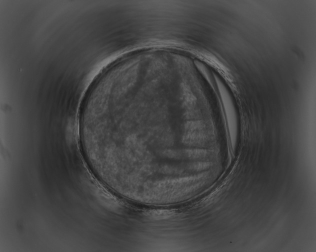 X0000090491280200708031138