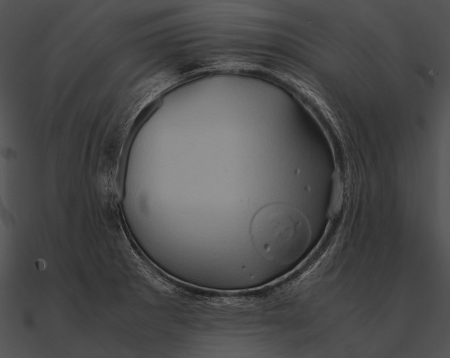 X0000090491281200708031138