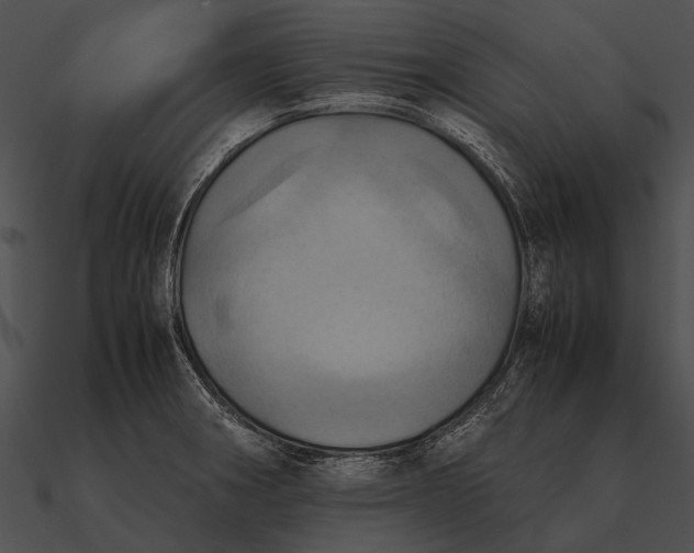 X0000090491282200708031138