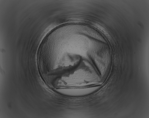 X0000090491283200708031138