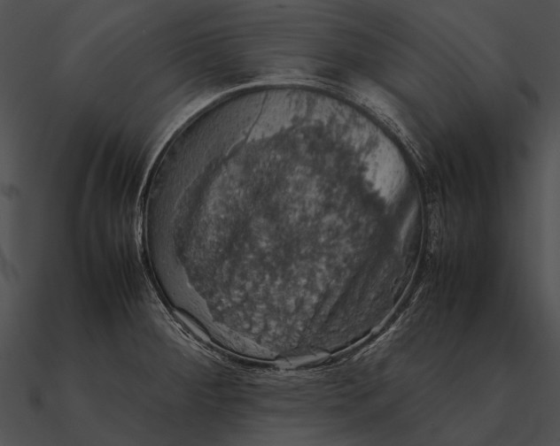 X0000090491284200708031138