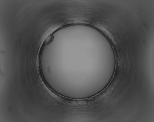 X0000090491285200708031138