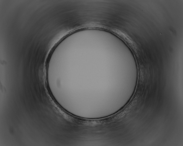 X0000090491286200708031138