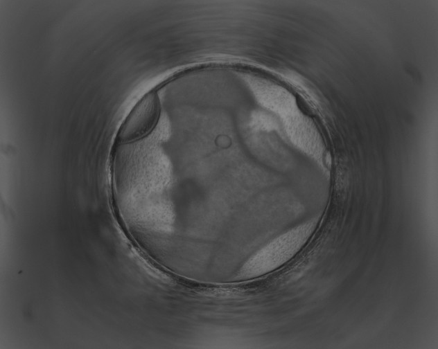 X0000090491287200708031138