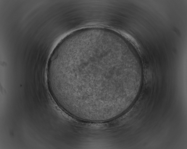 X0000090491288200708031138